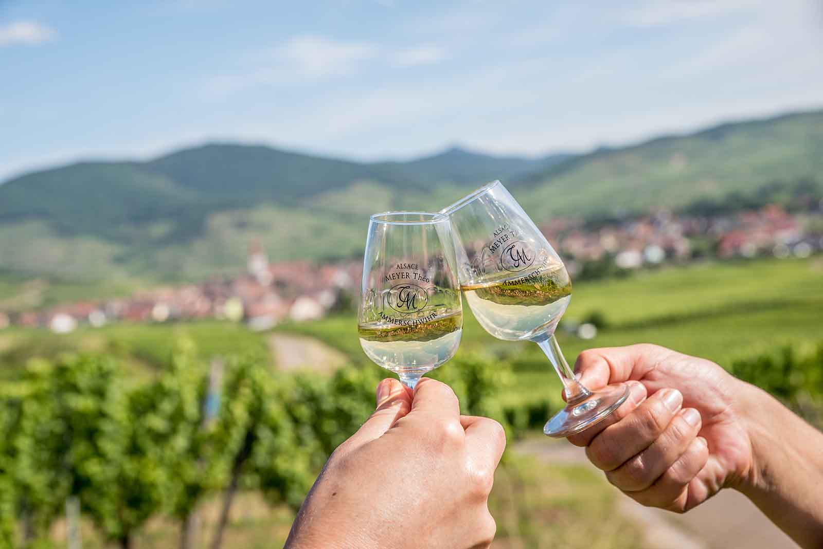 Theo Meyer Ammerschwihr, Boutique de Vins d'Alsace en ligne