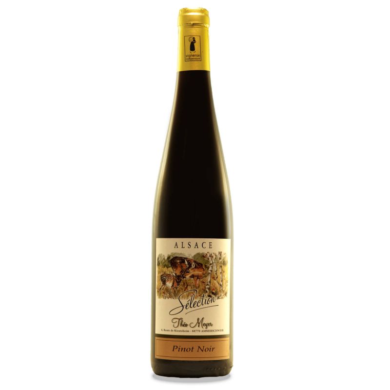 Pinot noir sélection 2018