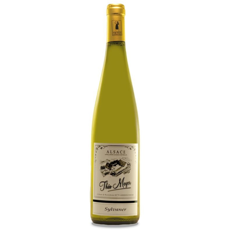 Sylvaner